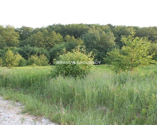 Atrakcyjna działka budowlana w Libertowie.