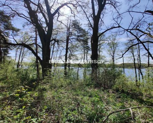 Wyjatkowa działka z własną linią brzegową jeziora.