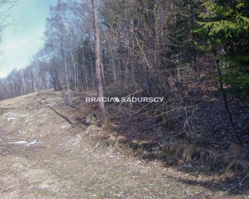 Działka widokowa o pow. 3 ha