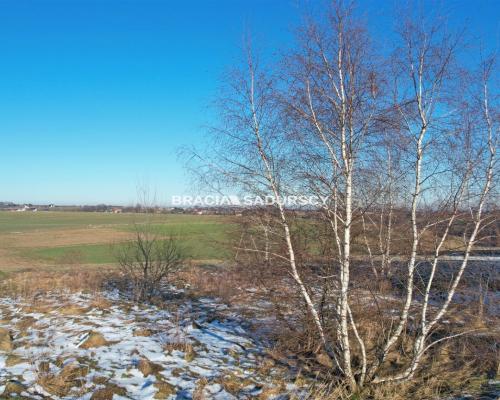 Działka budowlana w Sąspowie