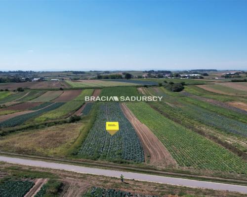 Działki rolne Proszowice