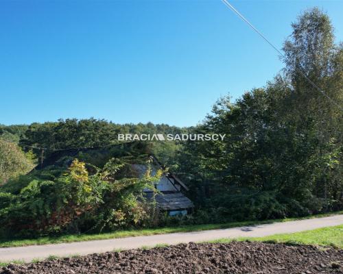 Poręba Żegoty, gmina Alwernia.