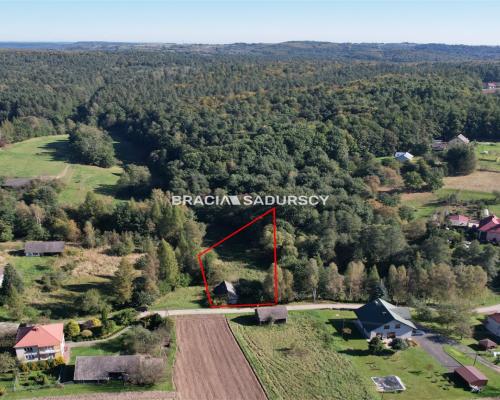 Poręba Żegoty, gmina Alwernia.