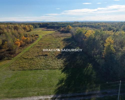 Działka budowlana o powierzchni  44 ar&oacute;w  położona w  Buczkowie, gmina Rzezawa, powiat bocheński  - idealna enklawa do b