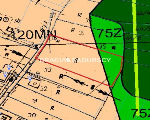 Wieliczka (gw), Jankówka