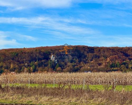Rusicice, gm. Czernichów. 27 ar w zielonej okolicy