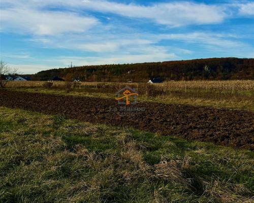 Rusicice, gm. Czernichów. 27 ar w zielonej okolicy