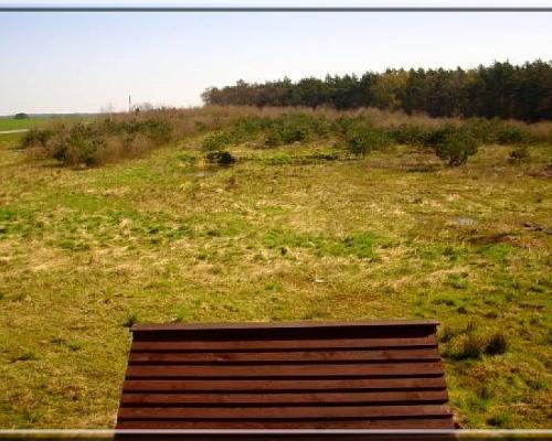 Posiadłość na DOM SENIORA, Dom Weselny 1 ha