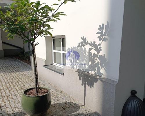 Śródmieście : lokal biurowo-mieszkalny na wynajem