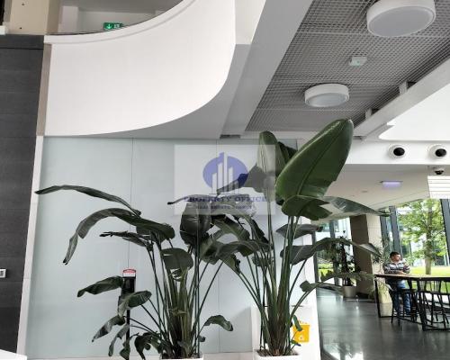 Ochota: lokal biurowy na wynajem