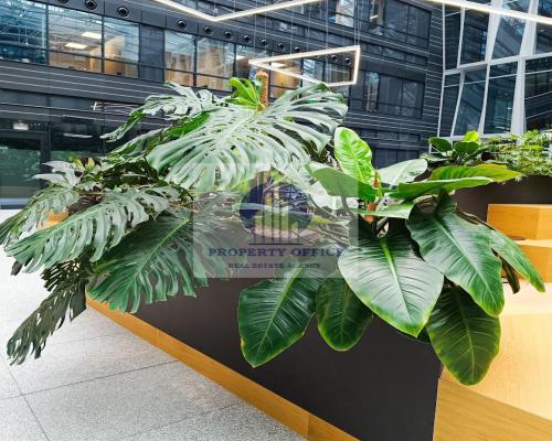 Wola: lokal handlowo-usługowy na wynajem