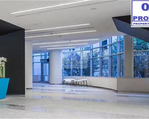 Śródmieście: lokal biurowy na wynajem