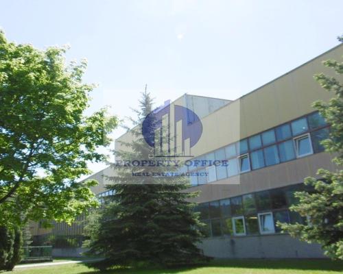 Bielany: lokal biurowy na wynajem