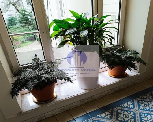 Śródmieście: lokal biurowy na wynajem