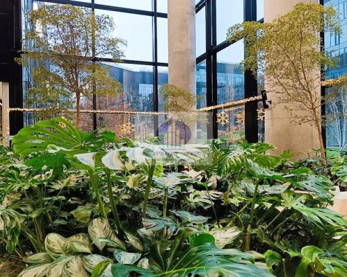 Żoliborz: lokal usługowo-handlowy na wynajem