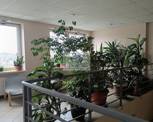 Praga Północ: lokal biurowy na wynajem