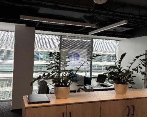 Wola: biuro 572,66 m2