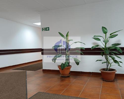 Praga Północ : lokal biurowy na wynajem