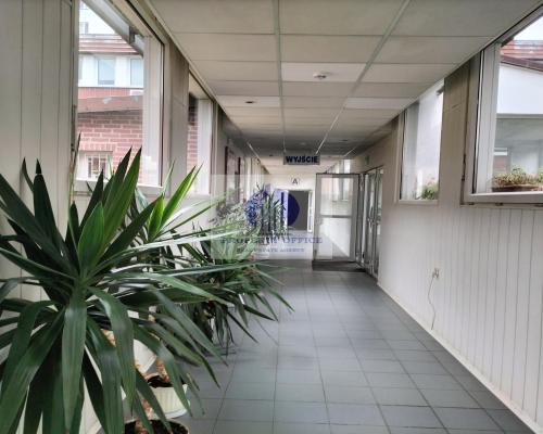 Mokotów: lokal biurowy na wynajem