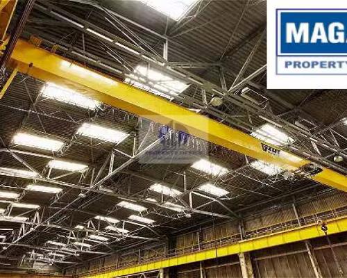 Bielany : hala magazynowa na wynajem