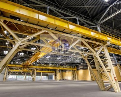 Bielany : hala magazynowa na wynajem