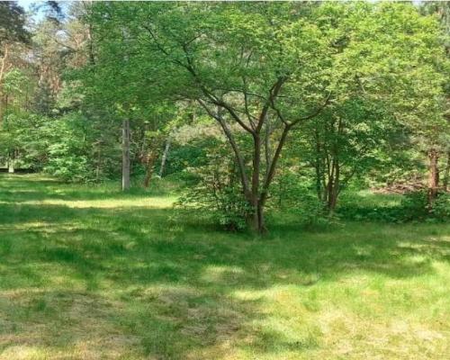 działka w Michalinie