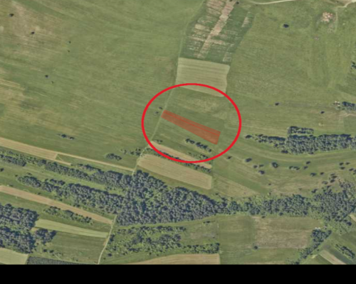Sprzedam działki rolne, Nowy Targ, okolice lotniska