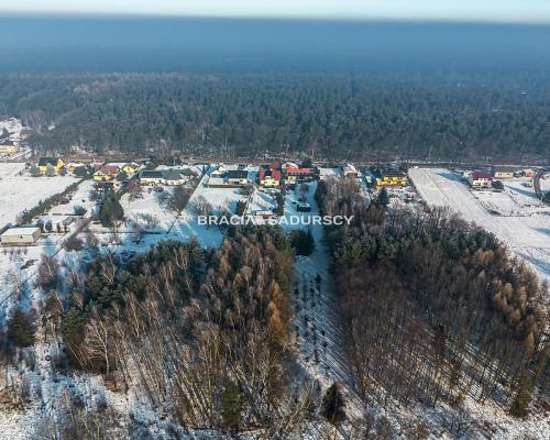 Dwa domy w otoczeniu Puszczy Niepołomickiej.