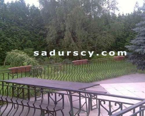 Dom 440m 2  na własnej działce 1700m 2  w Piasecznie. Cisza, zieleń, dobra infrastruktura.   
 
 Trzy kondygnacje naziemne. Sal