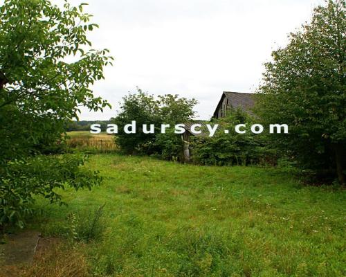 Działka 2100m2  z domem z dobudówką, razem 4 pokoje z kuchnią, łazienką, we wsi Niedźwiada Duża, ok. 15 km od Kazimierza Dolneg