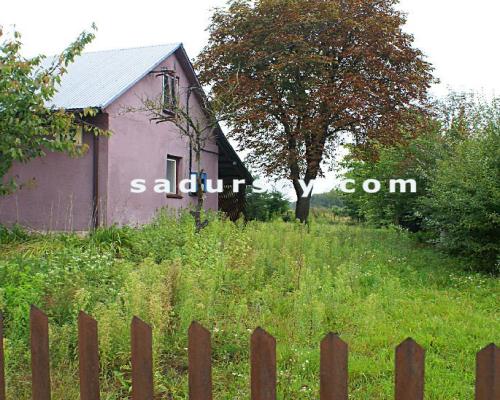 Działka 2100m2  z domem z dobudówką, razem 4 pokoje z kuchnią, łazienką, we wsi Niedźwiada Duża, ok. 15 km od Kazimierza Dolneg