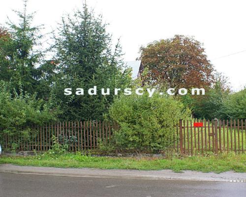 Działka 2100m2  z domem z dobudówką, razem 4 pokoje z kuchnią, łazienką, we wsi Niedźwiada Duża, ok. 15 km od Kazimierza Dolneg