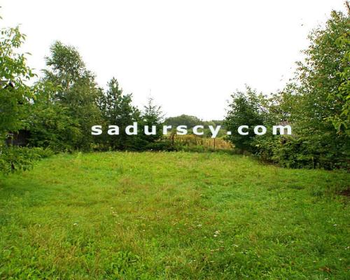 Działka 2100m2  z domem z dobudówką, razem 4 pokoje z kuchnią, łazienką, we wsi Niedźwiada Duża, ok. 15 km od Kazimierza Dolneg