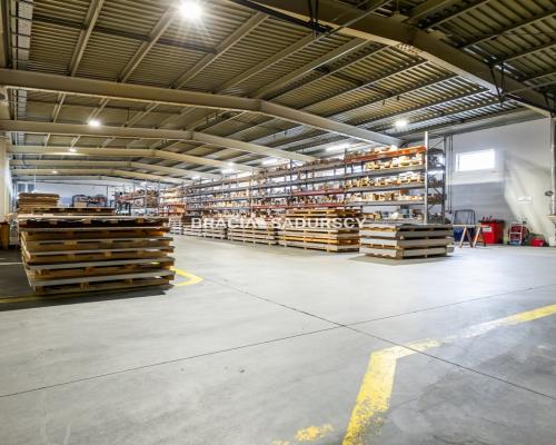 Nieruchomość komercyjna Kraków Rybitwy