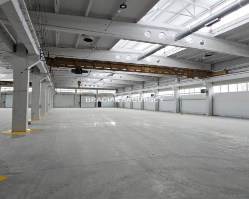 Hala produkcyjno-magazynowa Olkusz