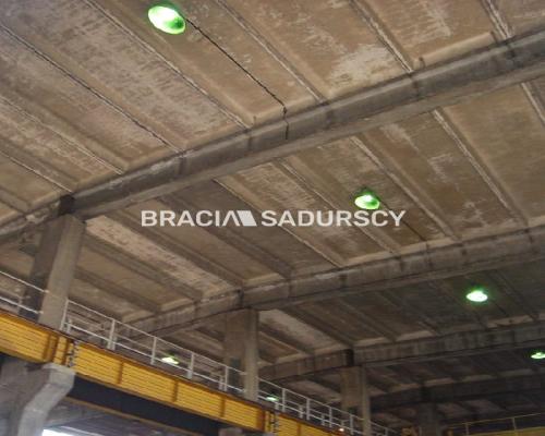 *Zdjęcia należą do właściciela oferty.    
  
Hala o powierzchni  1000m2  i wysokości 10m .   

  Konstrukcja żelbetowa, stropy