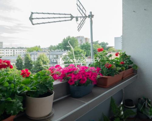 38m2, osiedle Podwawelskie, Stare Dębniki