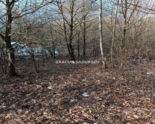 Duża działka inwestycyjna  w Czarnochowicach