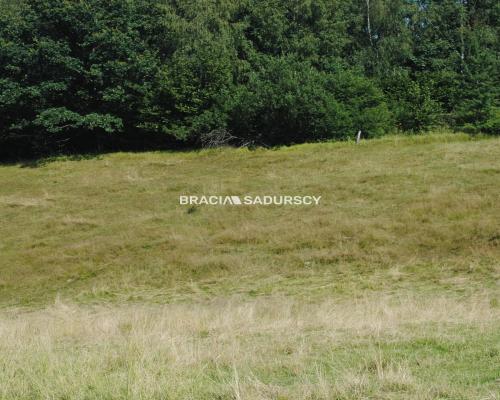 Nieruchomośc przy lesie w Chorowicach