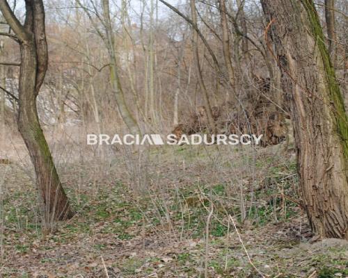 Do sprzedania działka budowlano- rolna ,częściowo zalesiona ,o pow ,48 arów ,/w tym 5 arów budowlane /w miejscowości Malkowice