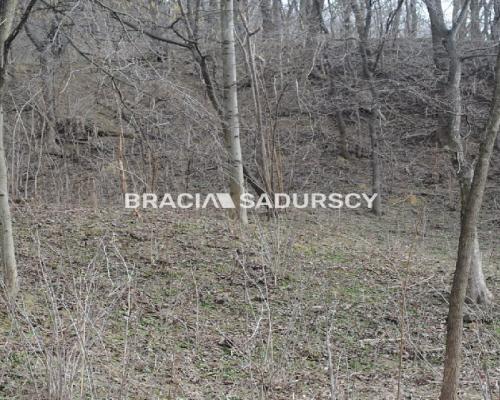 Do sprzedania działka budowlano- rolna ,częściowo zalesiona ,o pow ,48 arów ,/w tym 5 arów budowlane /w miejscowości Malkowice