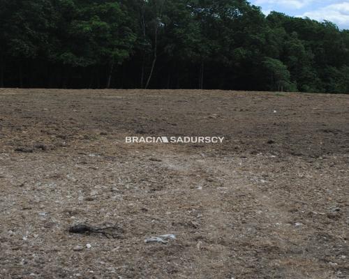 Działka budowlano-rolno-leśna w Jankówce