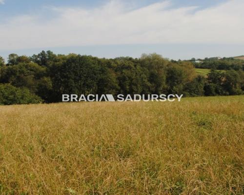 Okazja!!!Do sprzedania duża nieruchomość .