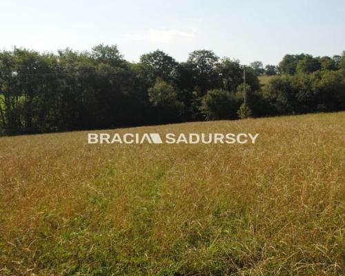 Okazja!!!Do sprzedania duża nieruchomość .