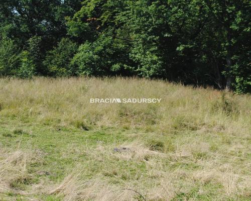 Duża nieruchomośc przy lesie w Chorowicach