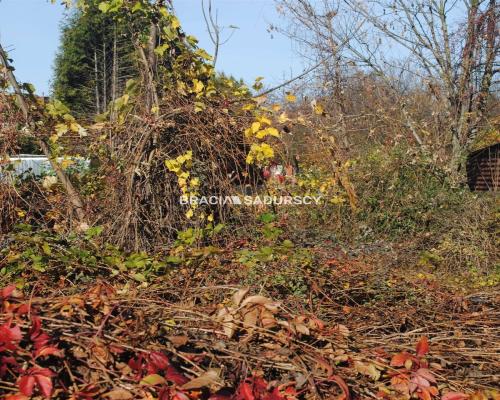 Atrakcyjna nieruchomość w Brzesku-Królowej Jadwigi