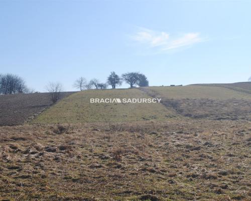 Duża działka budowlano-rolna w Bodzanowie