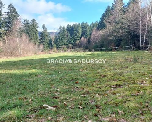 Działka rolna z możliwością zmiany na budowlaną