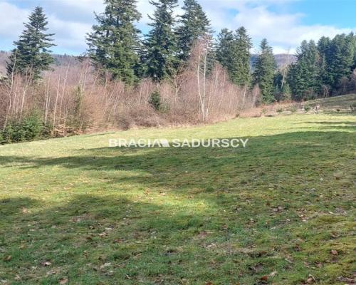 Działka rolna z możliwością zmiany na budowlaną