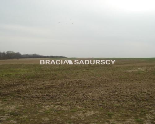 *Zdjęcia należą do właściciela oferty.   
 
Działka inwestycyjna 100 arowa leżąca na terenie przemysłowym w Morawicy. Media: ka